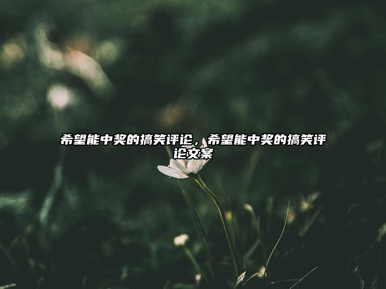 希望能中獎的搞笑評論，希望能中獎的搞笑評論文案