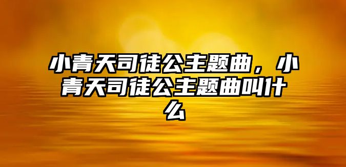 小青天司徒公主題曲，小青天司徒公主題曲叫什么