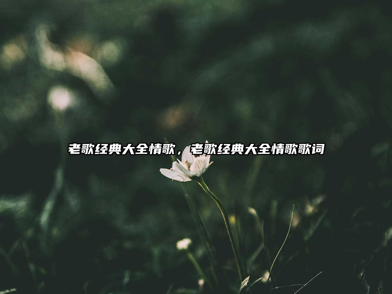 老歌經(jīng)典大全情歌，老歌經(jīng)典大全情歌歌詞